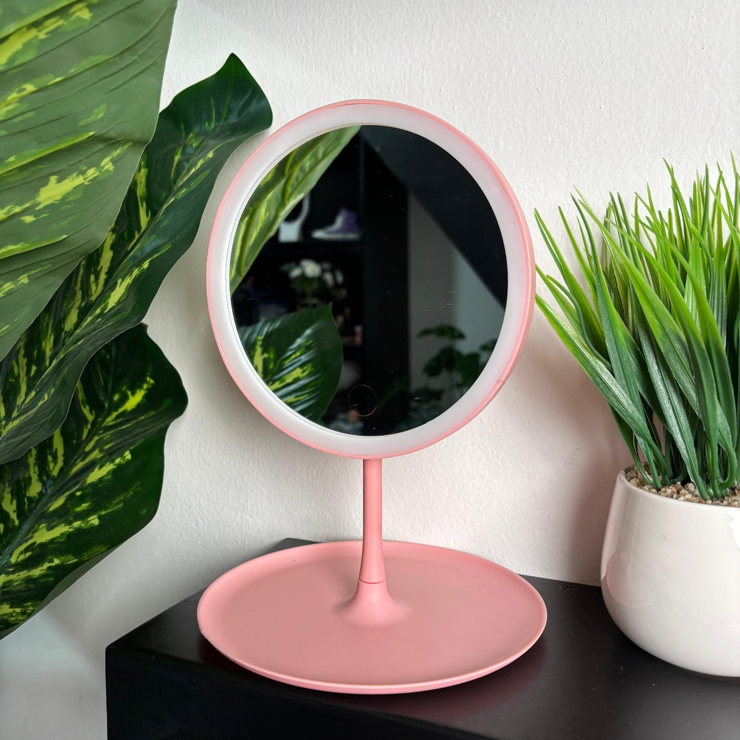 Vanity Makeup Mirror with Light