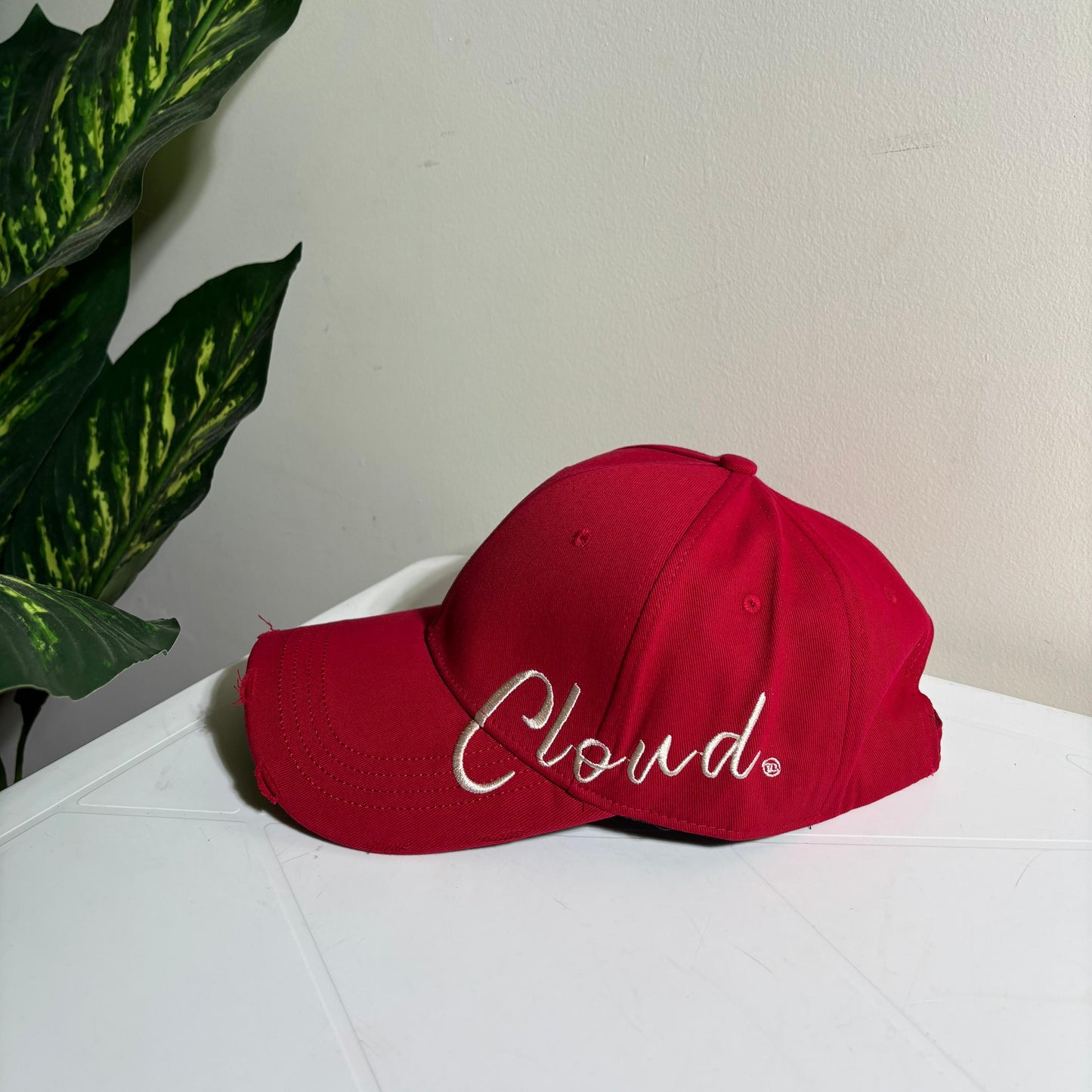 EMBROIDERED CLOUD CAPS