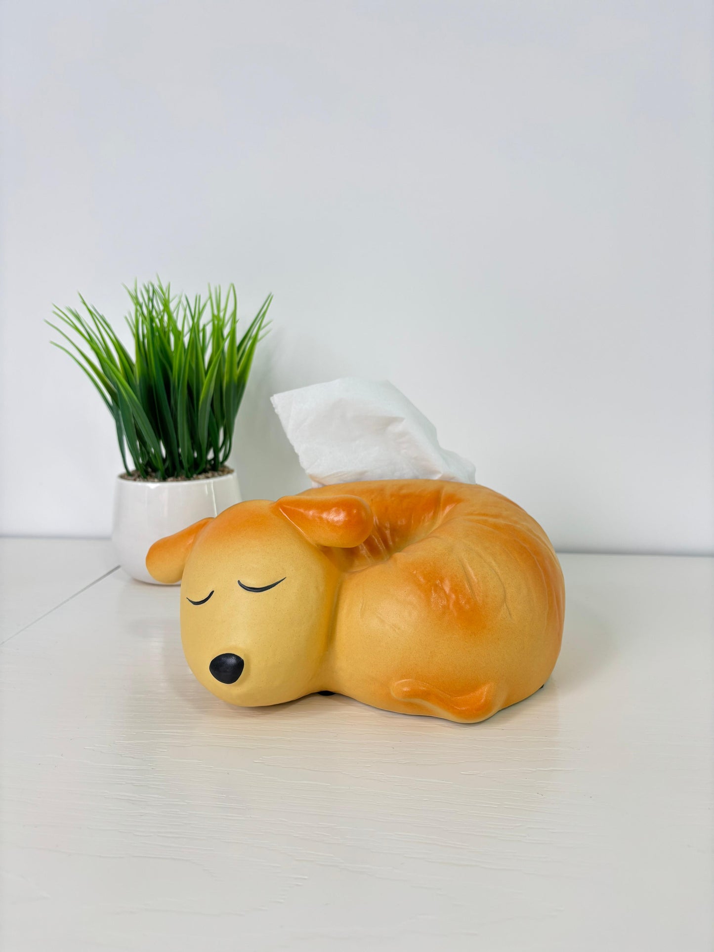 Bread Puppy Tissue box