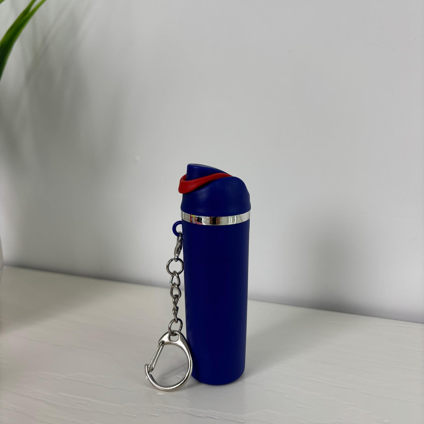 Mini water bottle Keychain