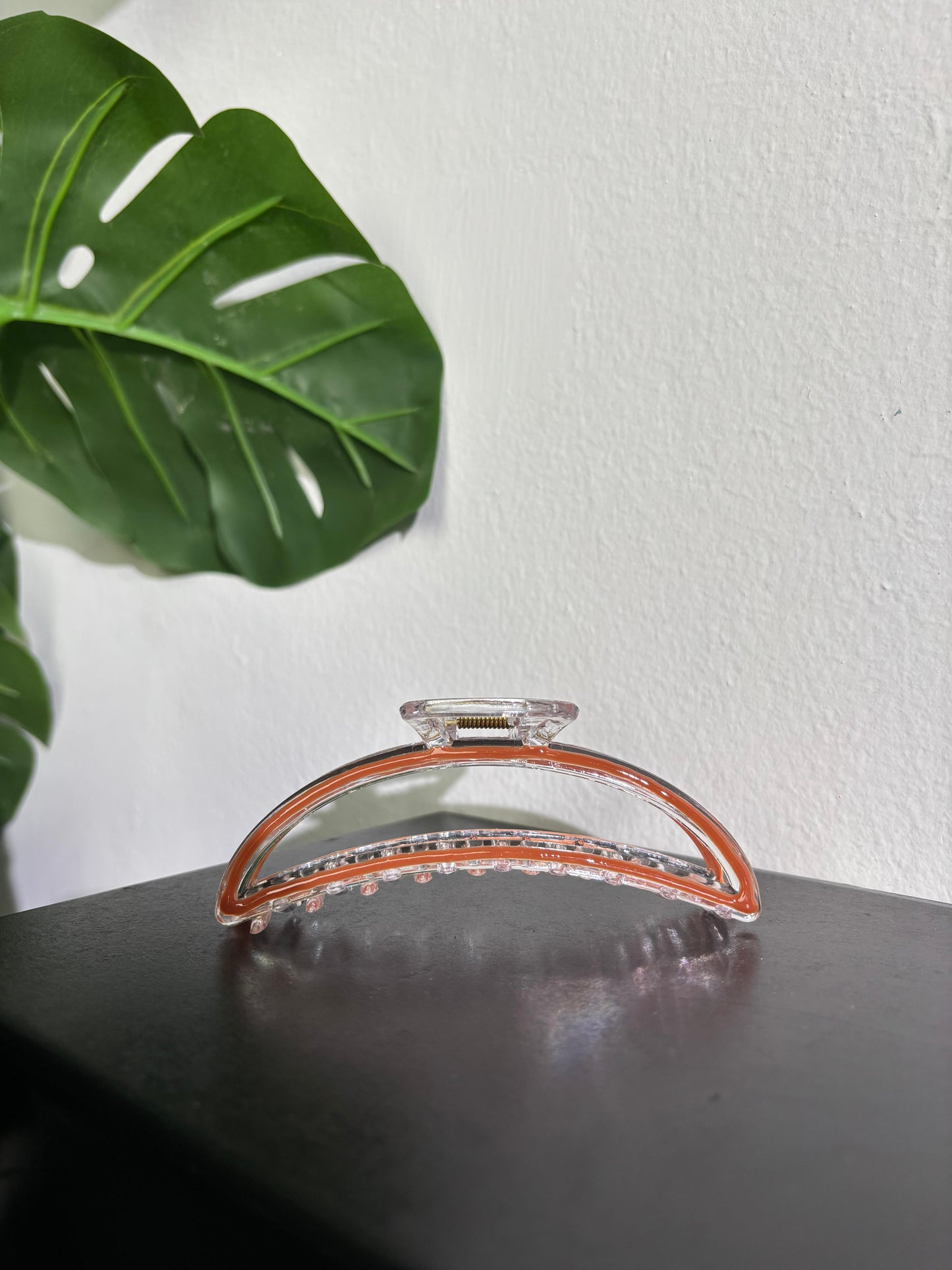 Transparent Line Claw Clip