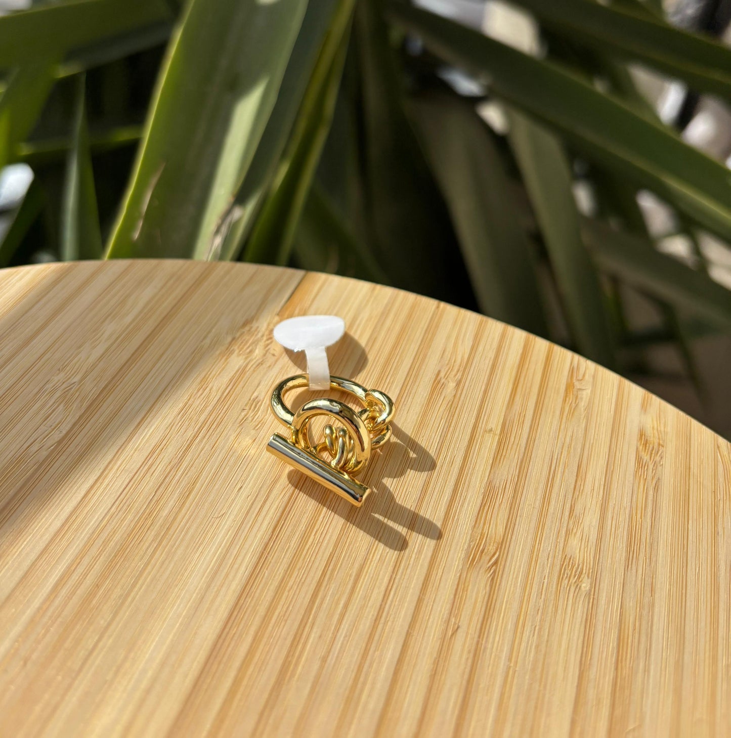 Chain Ring