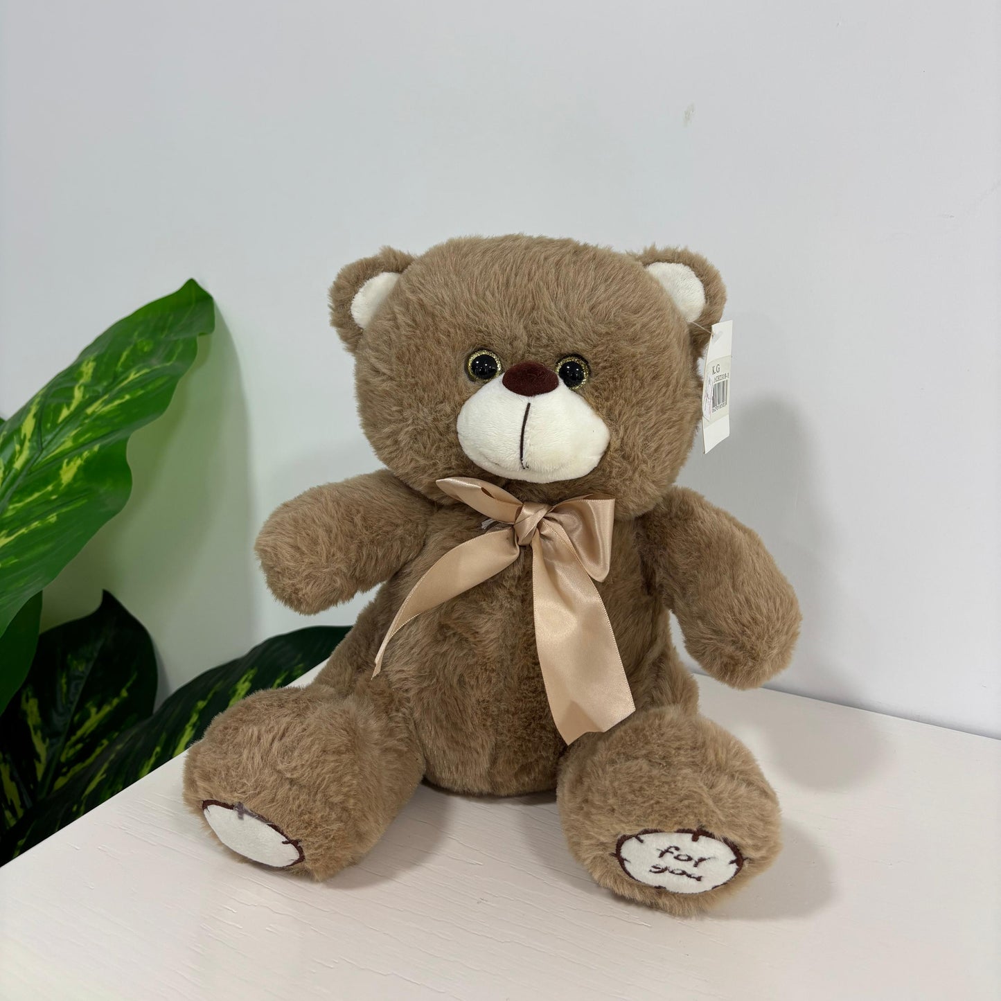 Soft Plush Teddy bear 🧸