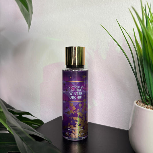 Winter Orchid Victoria's secret