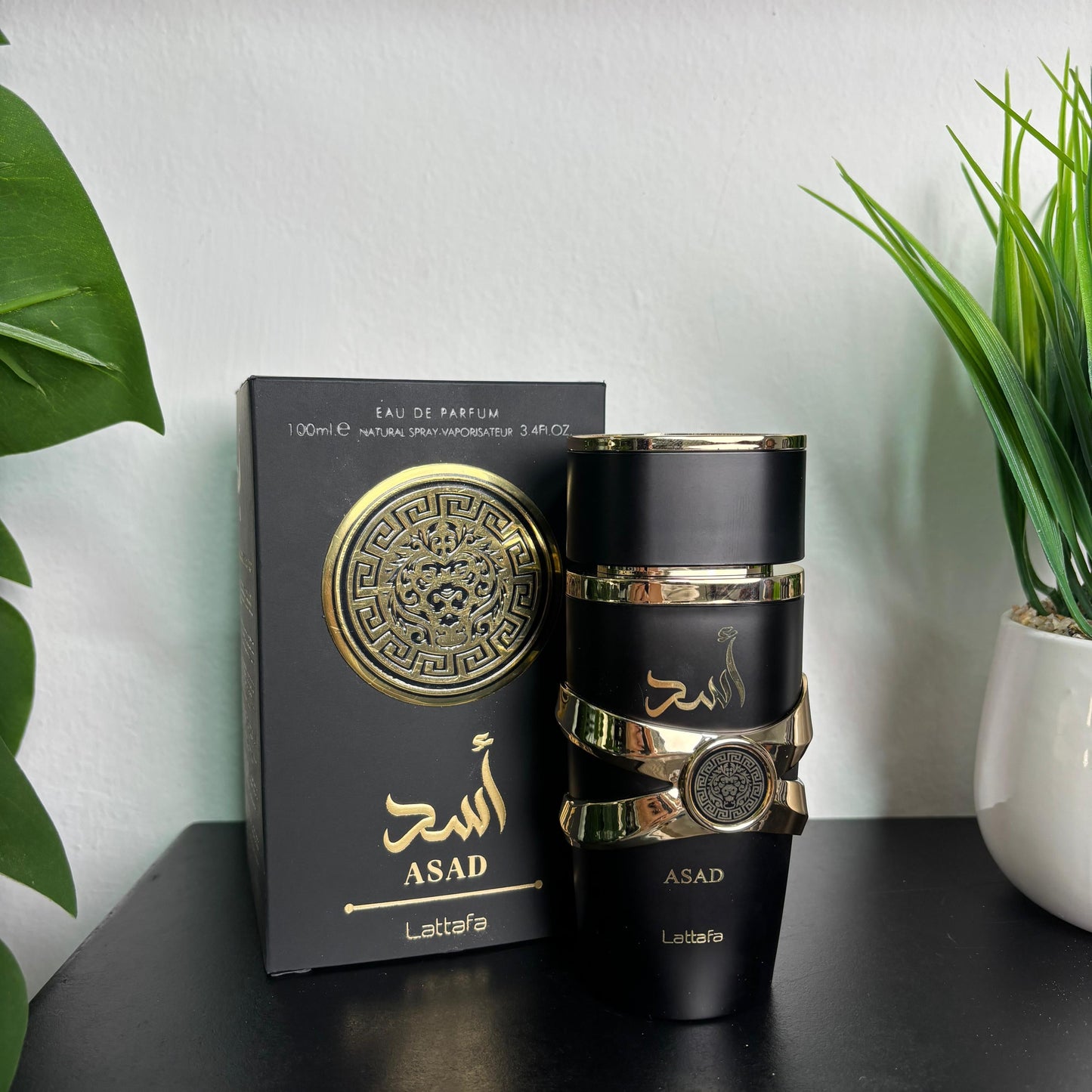 Asad Eau de parfum 100 ML for men