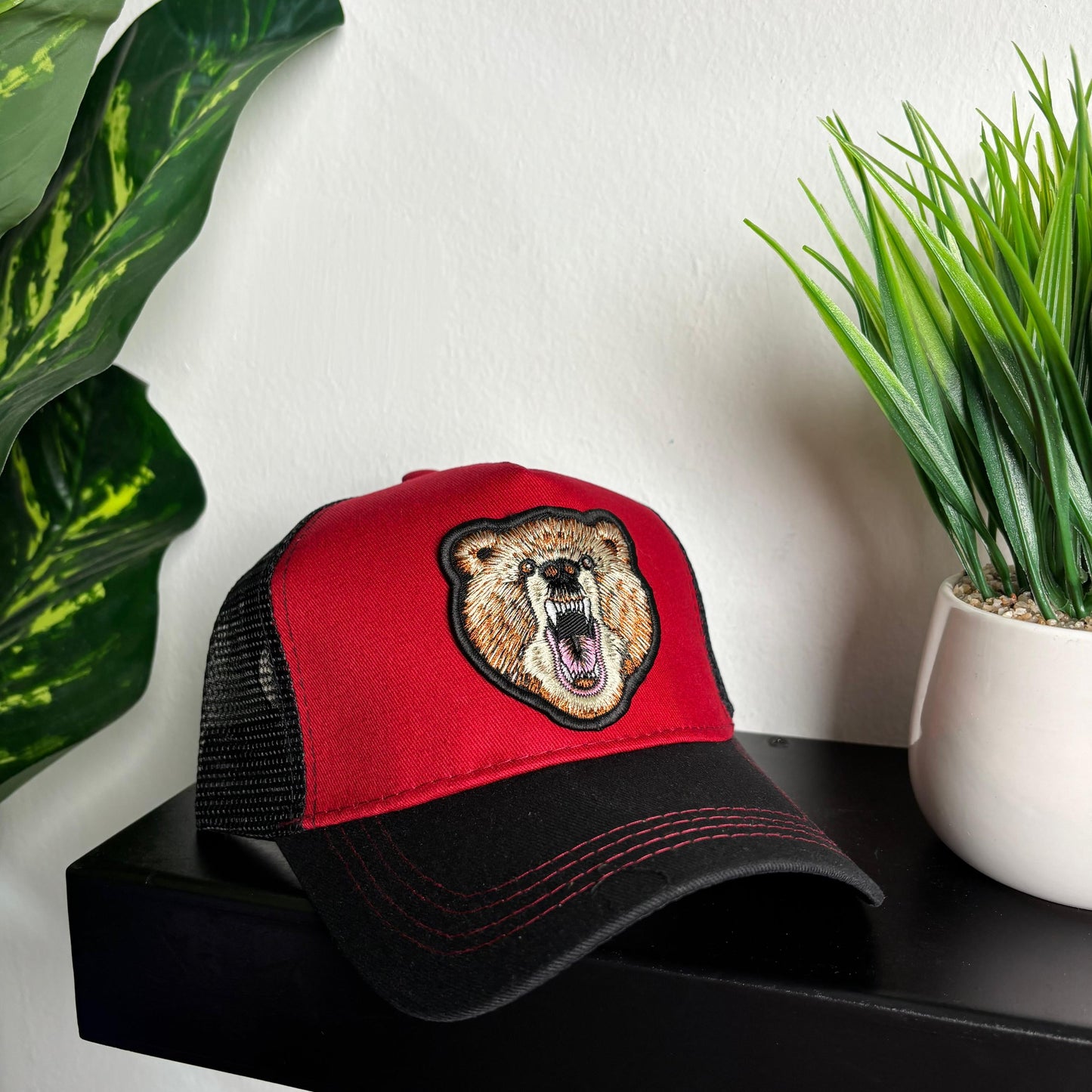 Bear Cap